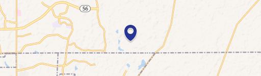 Wesley Chapel, FL 33543