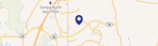 Wesley Chapel, FL 33543