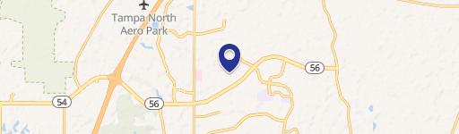 Wesley Chapel, FL 33543