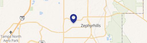 Zephyrhills, FL 33541