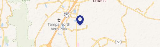 Wesley Chapel, FL 33543