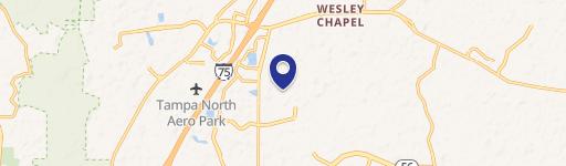 Wesley Chapel, FL 33543