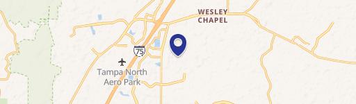 Wesley Chapel, FL 33543