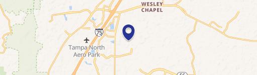 Wesley Chapel, FL 33543