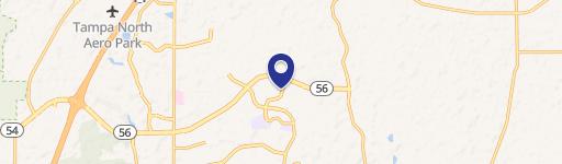 Wesley Chapel, FL 33543