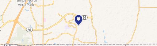 Wesley Chapel, FL 33543