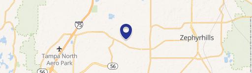 Wesley Chapel, FL 33543