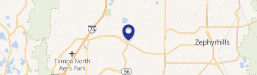 Wesley Chapel, FL 33543