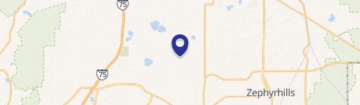 Wesley Chapel, FL 33545