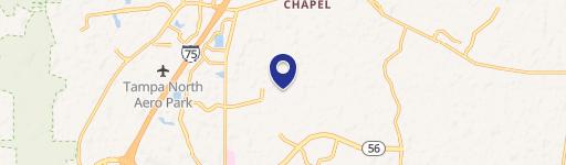 Wesley Chapel, FL 33543