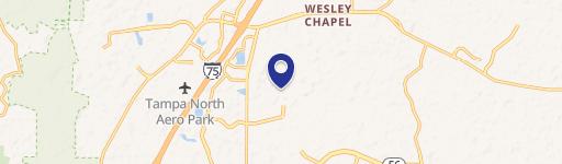 Wesley Chapel, FL 33543