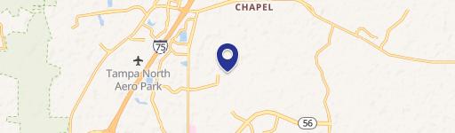 Wesley Chapel, FL 33543