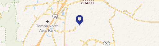 Wesley Chapel, FL 33543