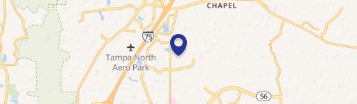 Wesley Chapel, FL 33543