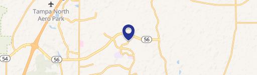 Wesley Chapel, FL 33543