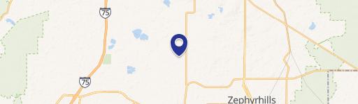 Wesley Chapel, FL 33545