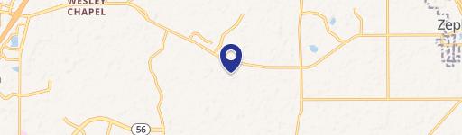 Wesley Chapel, FL 33545