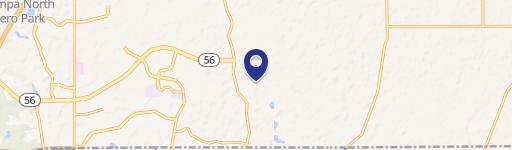 Wesley Chapel, FL 33543