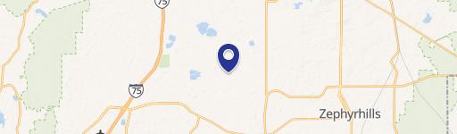 Wesley Chapel, FL 33545