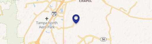 Wesley Chapel, FL 33543