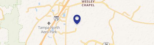 Wesley Chapel, FL 33543