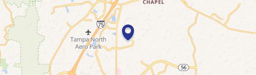 Wesley Chapel, FL 33543