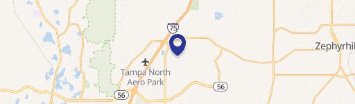 Wesley Chapel, FL 33543