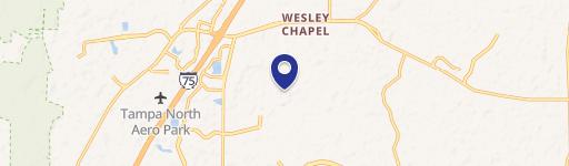Wesley Chapel, FL 33543