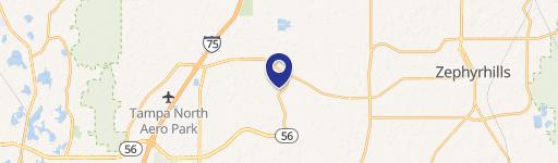 Wesley Chapel, FL 33543