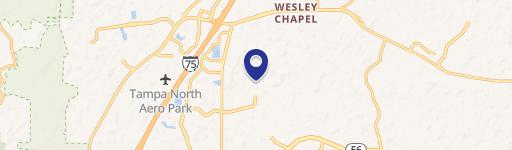 Wesley Chapel, FL 33543