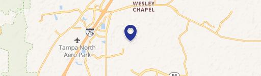 Wesley Chapel, FL 33543