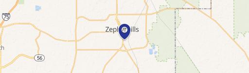 Zephyrhills, FL 33542