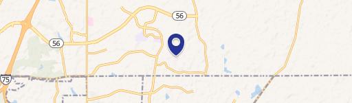 Wesley Chapel, FL 33543