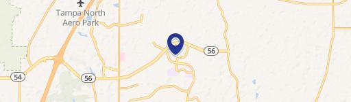 Wesley Chapel, FL 33543