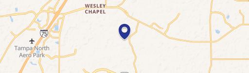Wesley Chapel, FL 33543