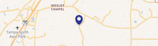 Wesley Chapel, FL 33543