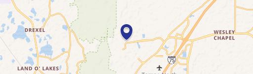 Wesley Chapel, FL 33544