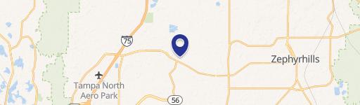 Wesley Chapel, FL 33545