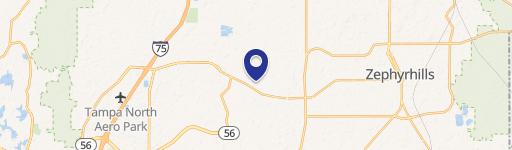 Wesley Chapel, FL 33543