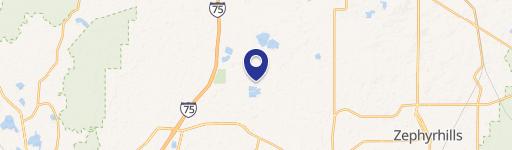 Wesley Chapel, FL 33545