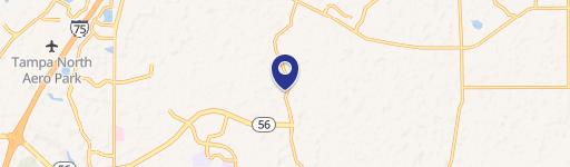 Wesley Chapel, FL 33543