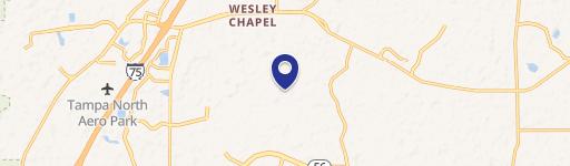 Wesley Chapel, FL 33543