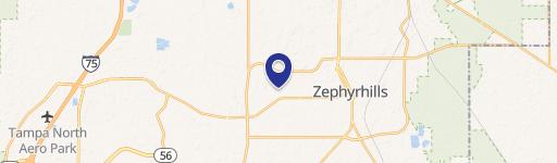 Zephyrhills, FL 33541