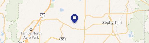 Wesley Chapel, FL 33543