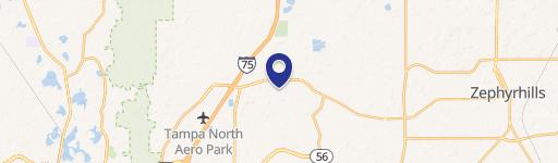 Wesley Chapel, FL 33543