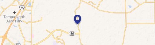 Wesley Chapel, FL 33543