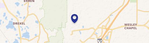 Wesley Chapel, FL 33544