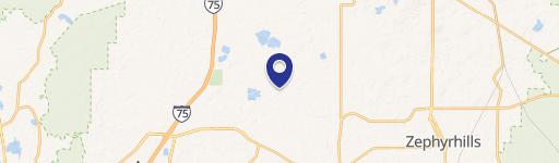 Wesley Chapel, FL 33545