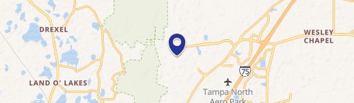 Wesley Chapel, FL 33544