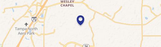 Wesley Chapel, FL 33543